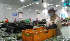 <b>视化聪慧监管”系统还能从动预警非常环境</b>